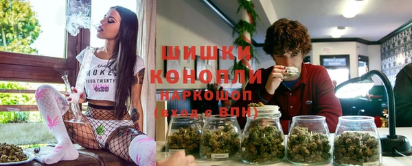 spice Абаза