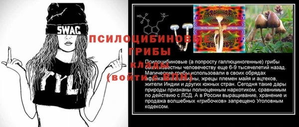 spice Абаза