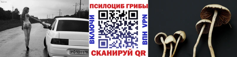 Галлюциногенные грибы MAGIC MUSHROOMS  Ртищево 