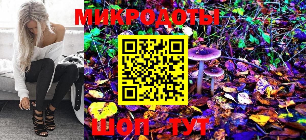 Галлюциногенные грибы Psilocybine cubensis Ртищево