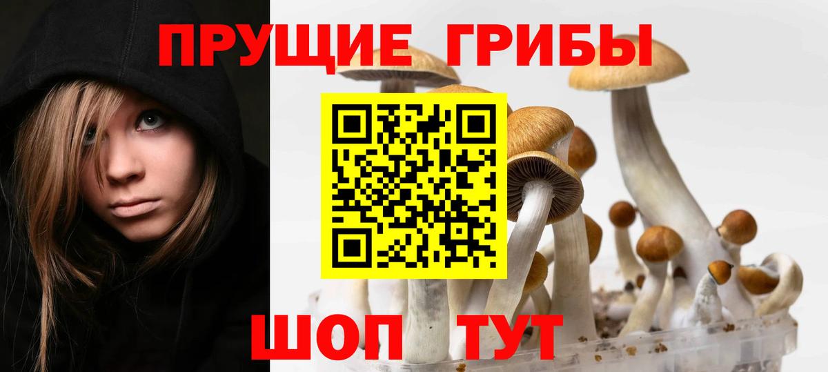 Ртищево  Псилоцибиновые грибы GOLDEN TEACHER  Галлюциногенные грибы Cubensis  Вход с VPN 